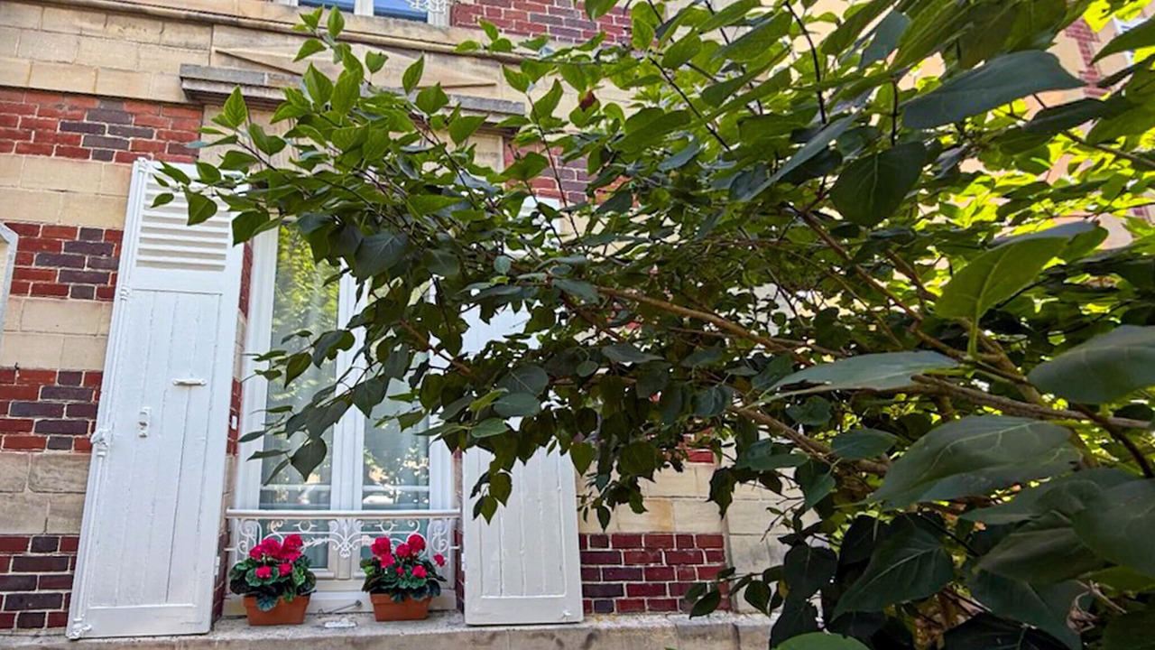 Photo of Others in Chantilly