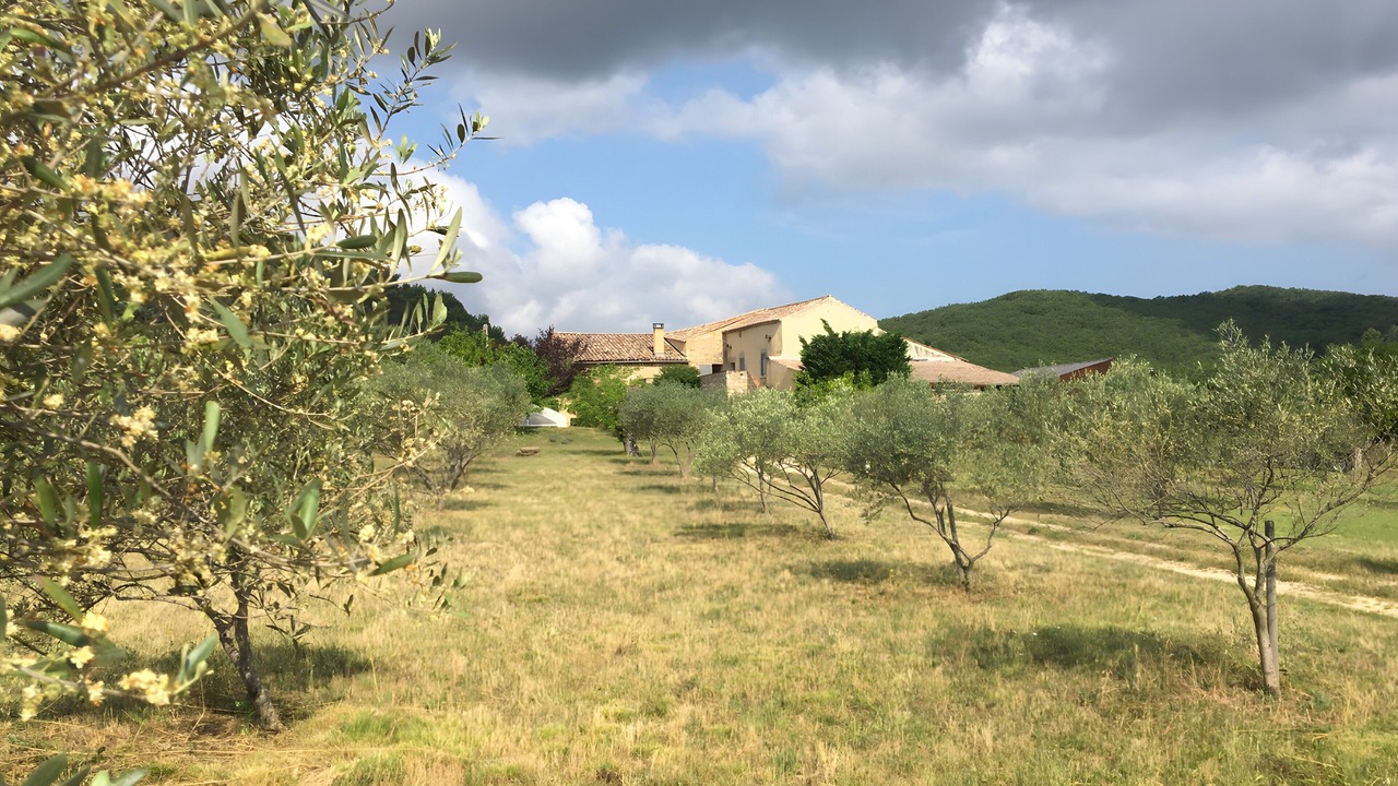 Photo of Outdoor in Bessas