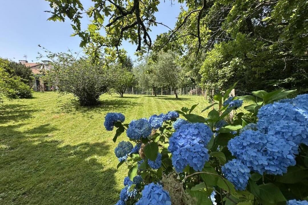 Photo of Outdoor in Poyartin