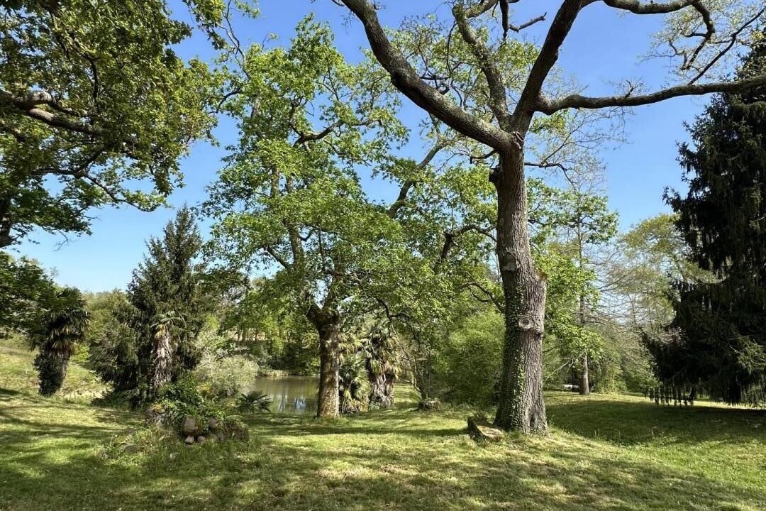 Photo of Others in Poyartin