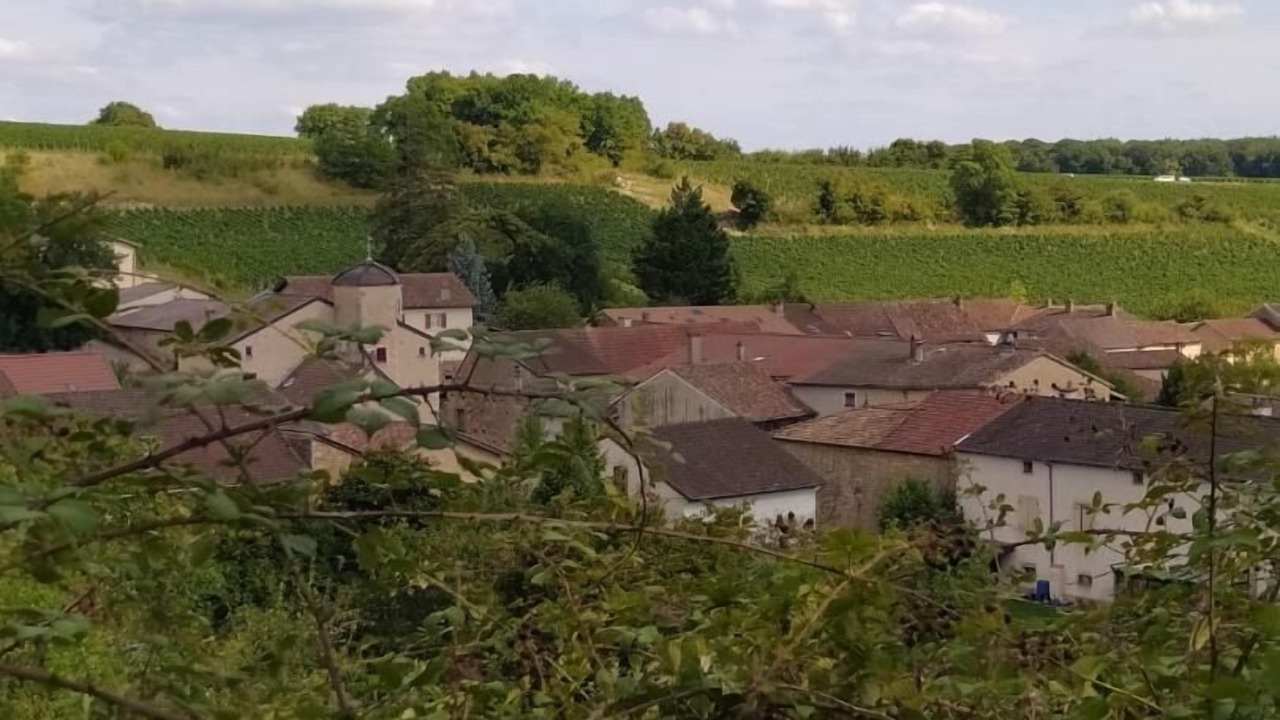 Photo of Others in Chardonnay