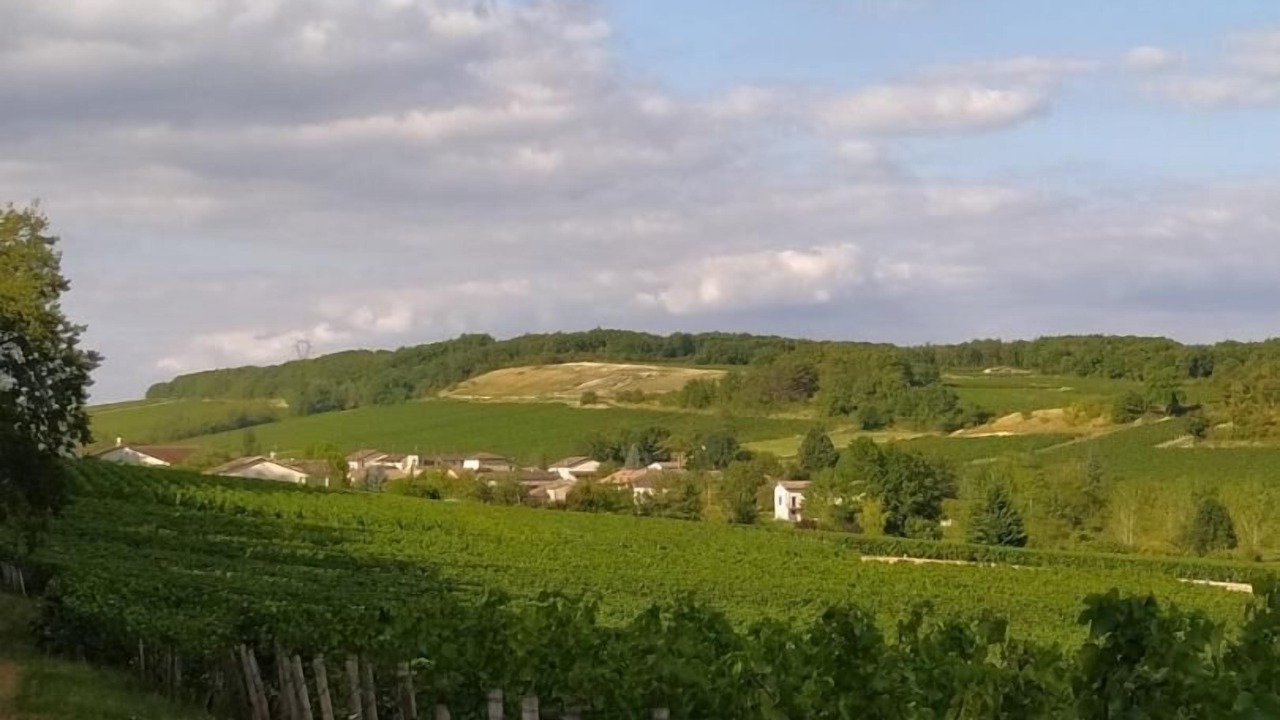 Photo of Others in Chardonnay