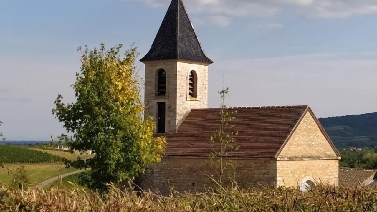 Photo of Others in Chardonnay