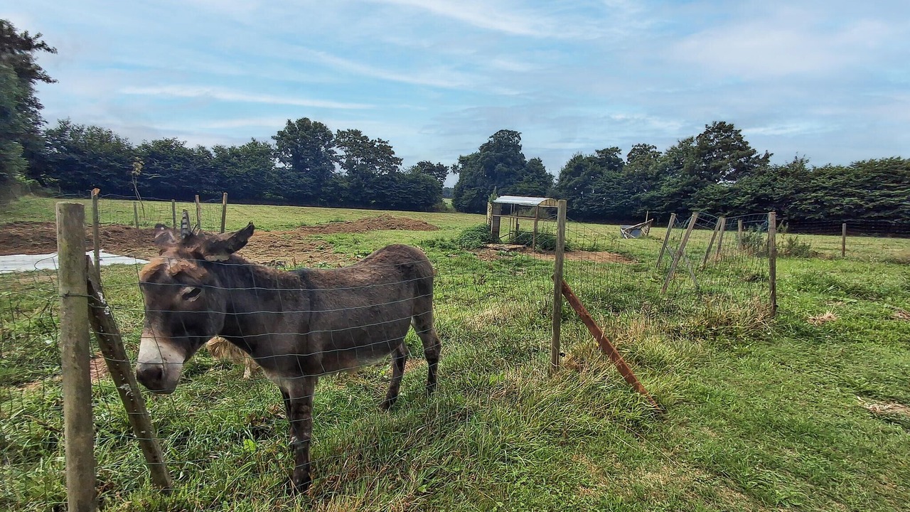Photo of Others in Louargat