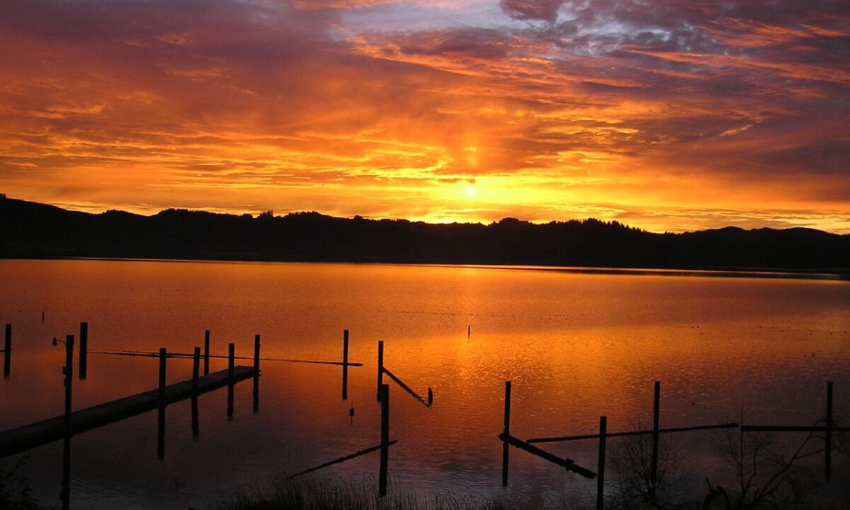 Photo of Others in Dunes City