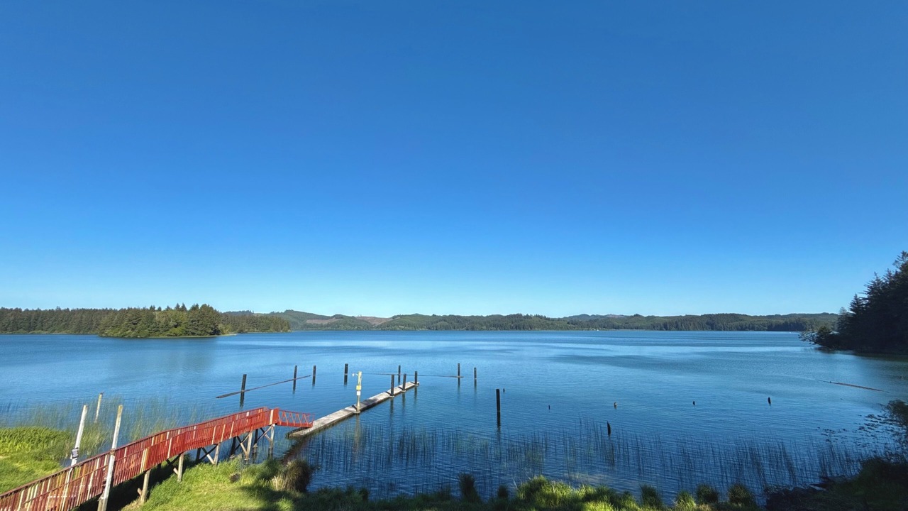 Photo of Others in Dunes City