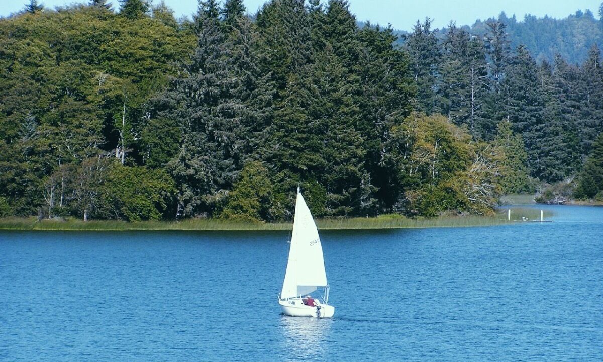 Photo of Others in Dunes City