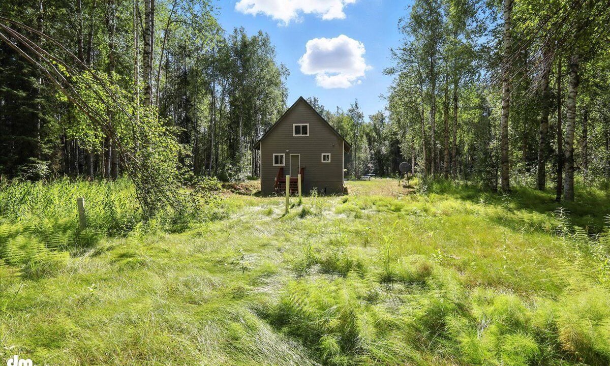 Photo of Outdoor in Susitna North