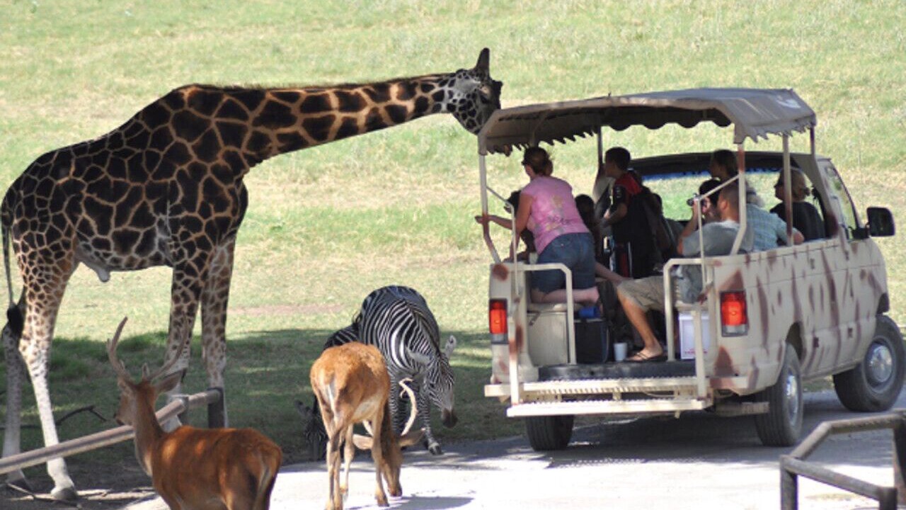 Photo of Others in Glen Rose