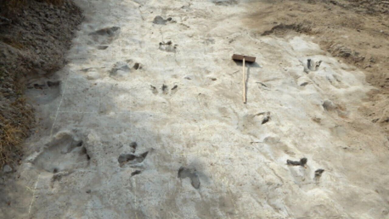Photo of Others in Glen Rose