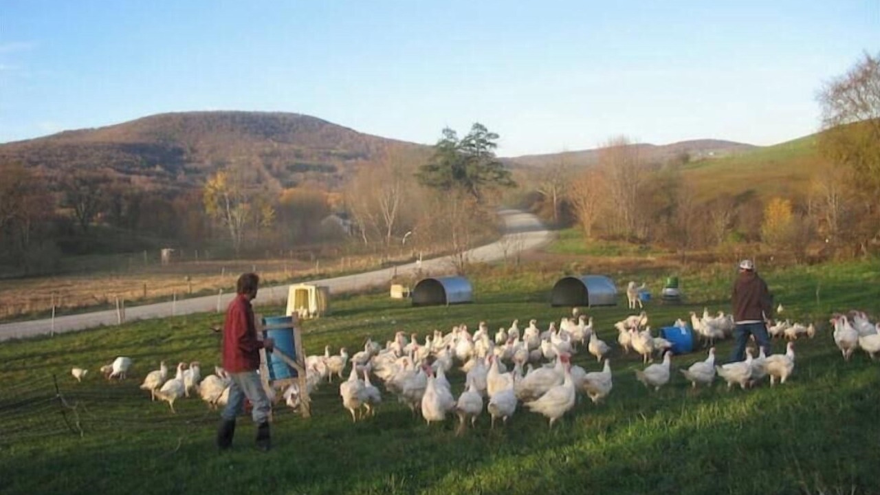 Photo of Others in Meredith