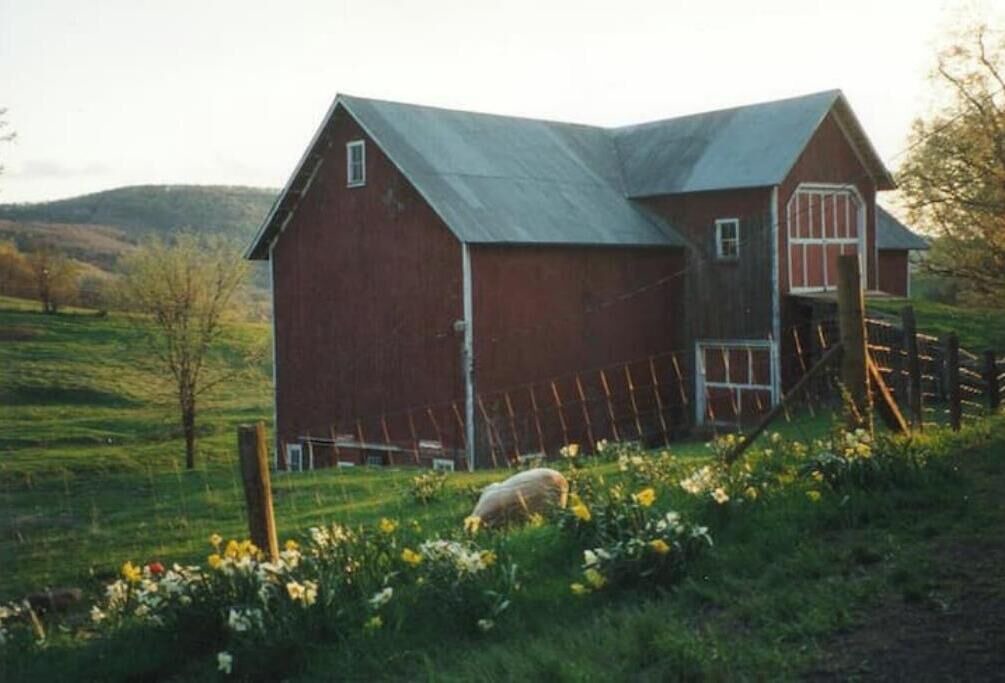 Photo of Outdoor in Meredith