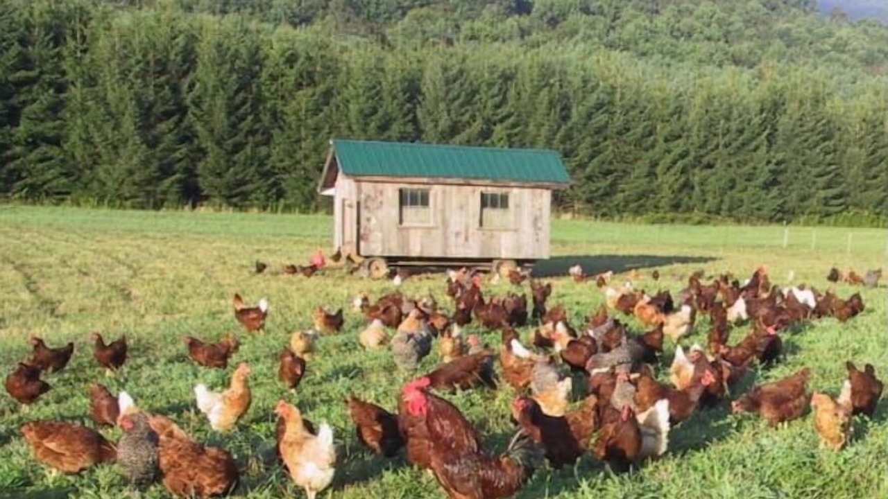 Photo of Others in Meredith