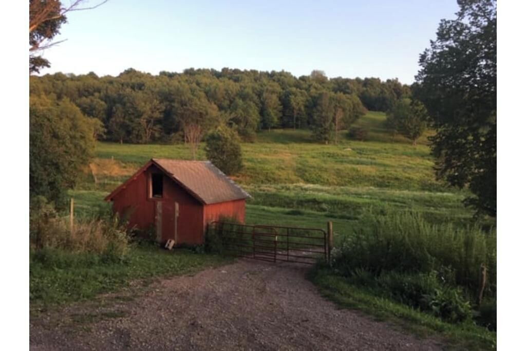 Photo of Others in Meredith