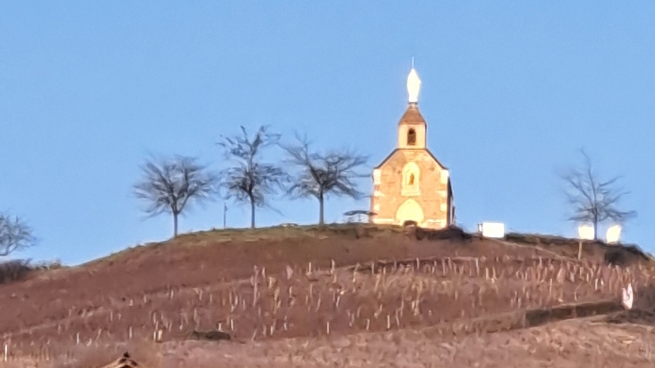 Photo of Others in Fleurie