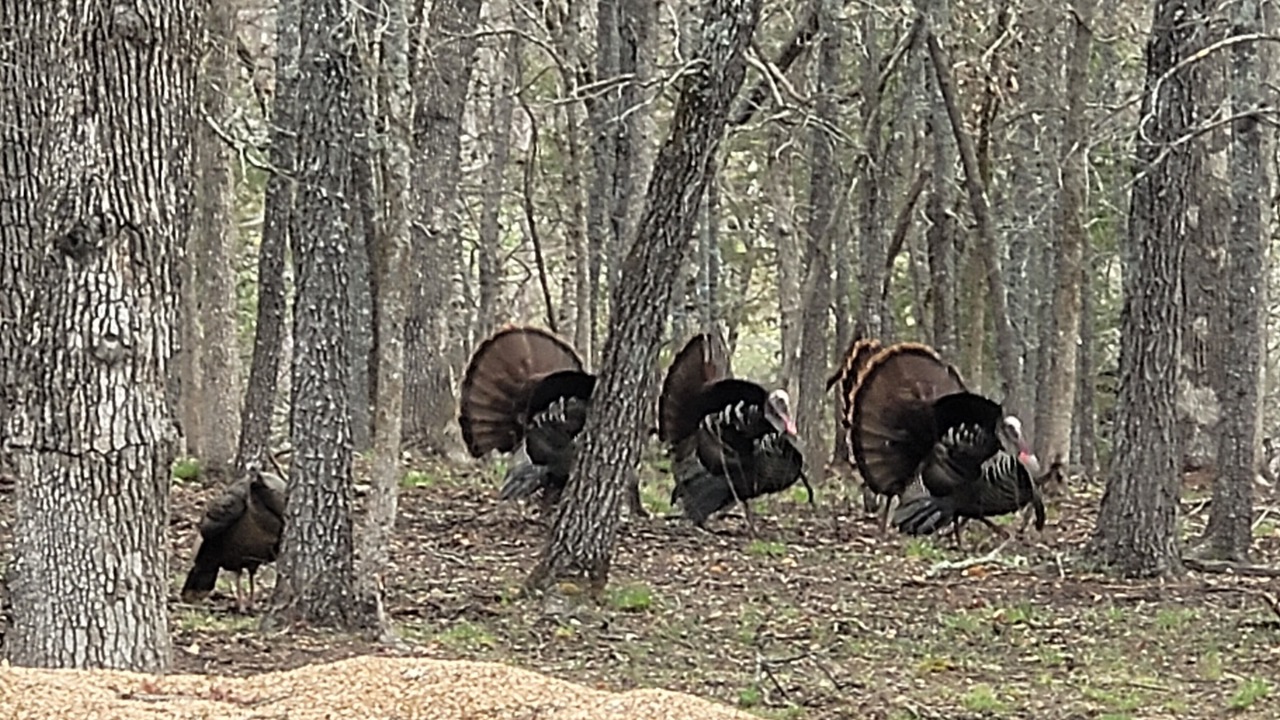 Photo of Others in Cedarcreek