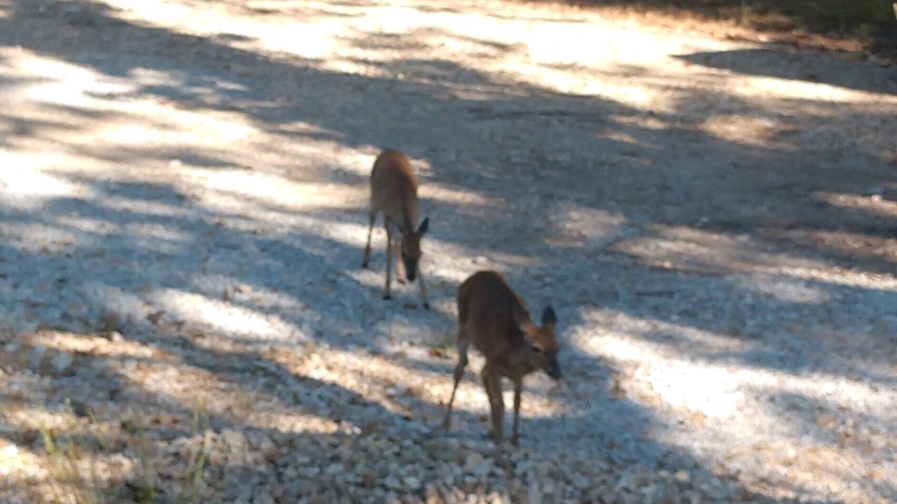 Photo of Others in Cedarcreek