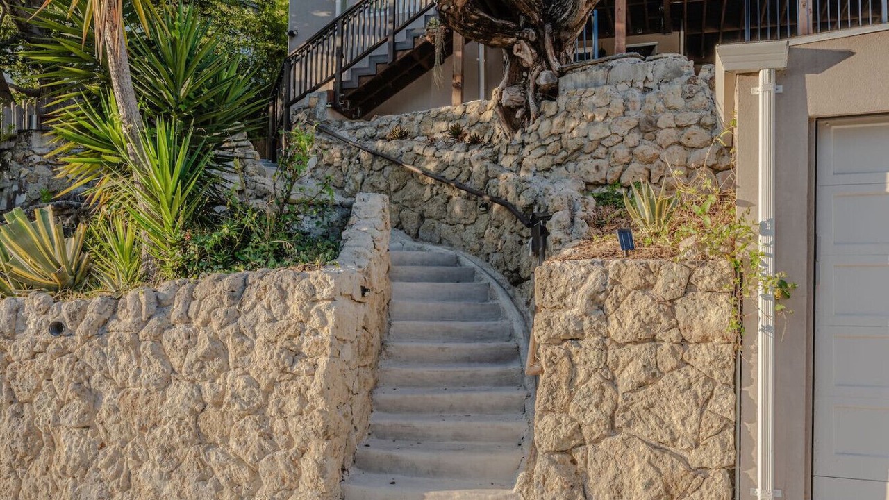 Photo of Outdoor in Berkeley Hills