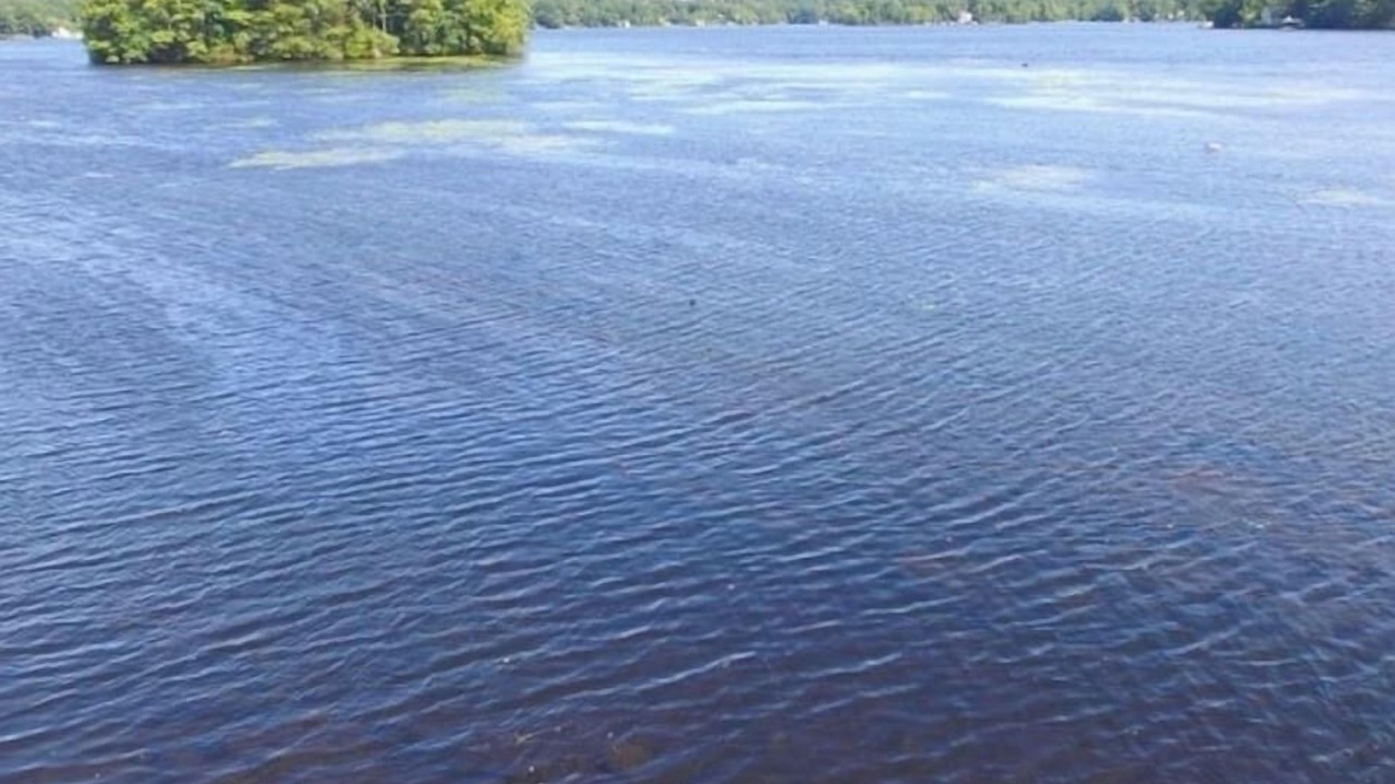 Photo of Others in West Milford