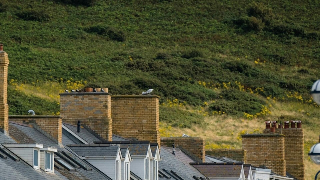 Photo of Others in Chancery