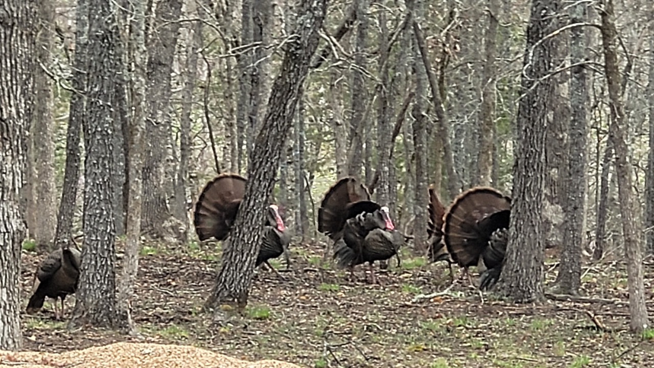 Photo of Others in Cedarcreek