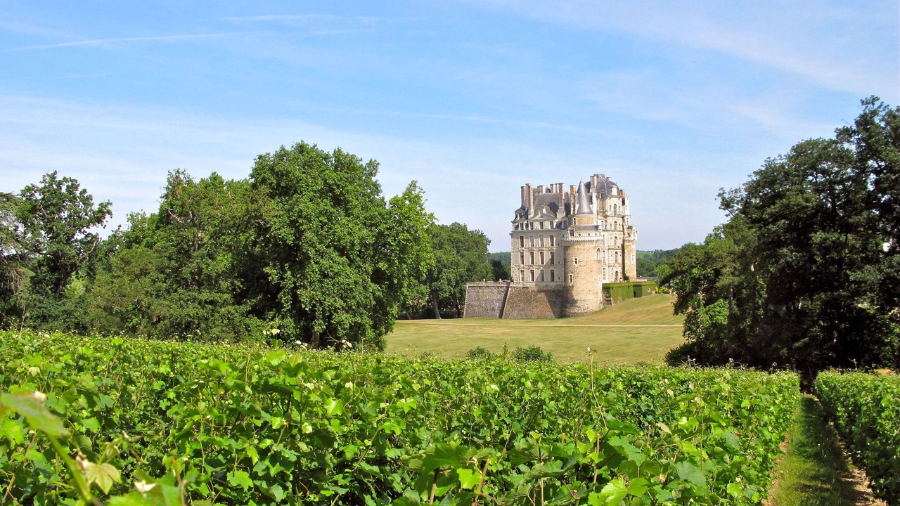 Photo of Outdoor in Chinon