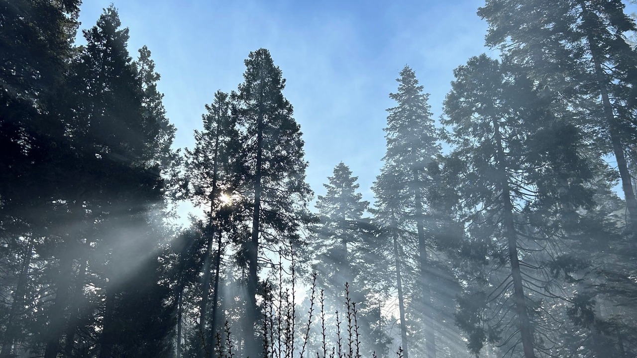 Photo of Others in Alta