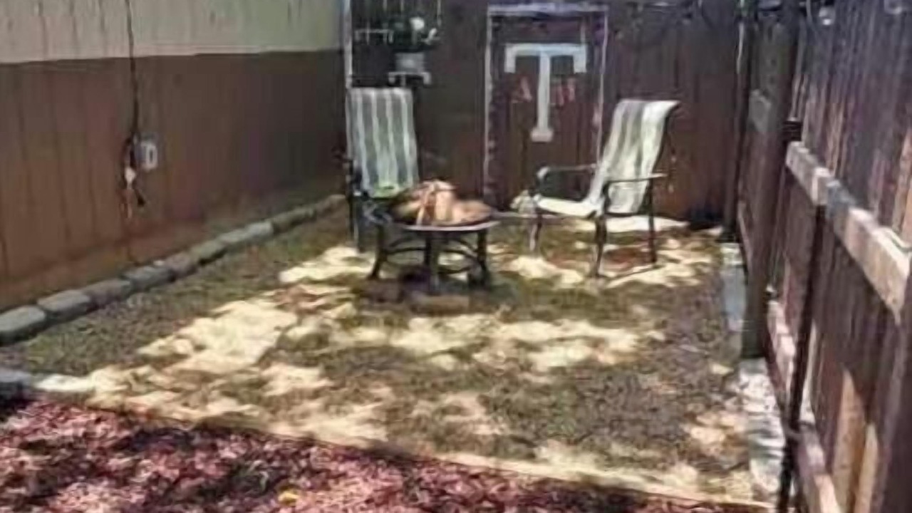 Photo of Outdoor in Franklin Estates