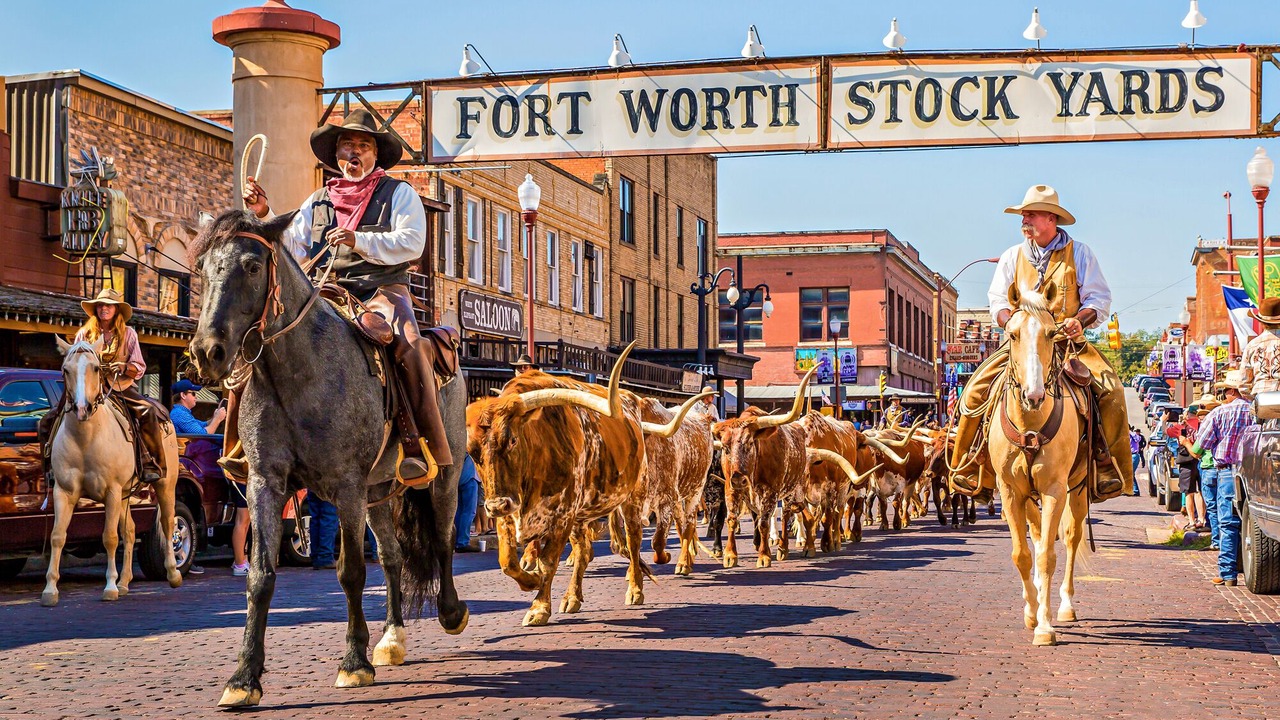 Photo of Others in Fort Worth