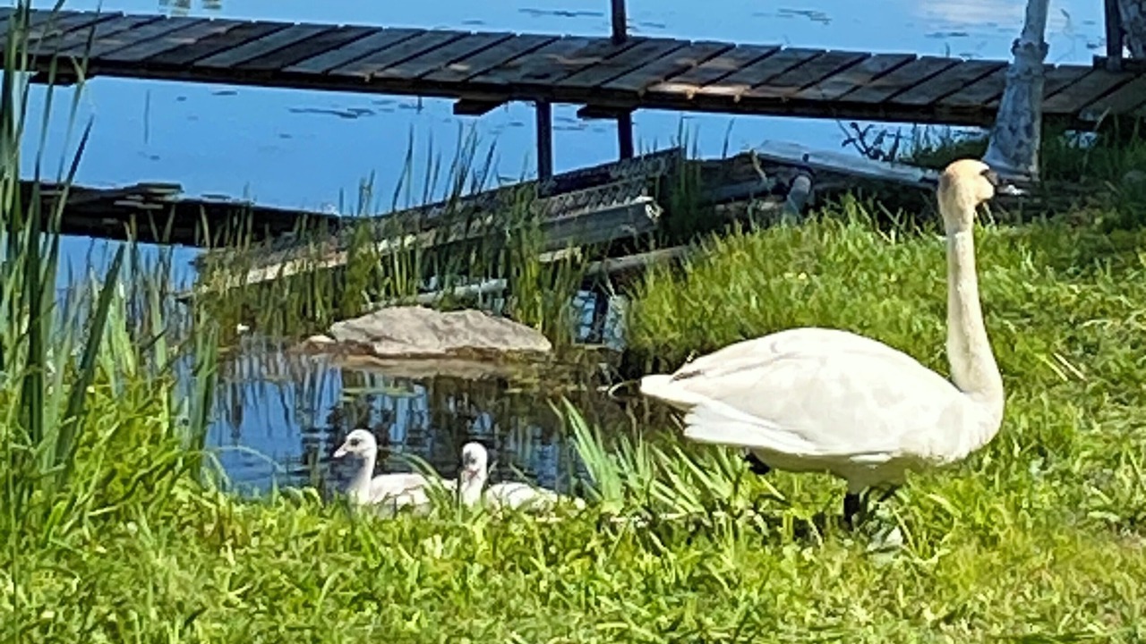 Photo of Others in Trent Hills