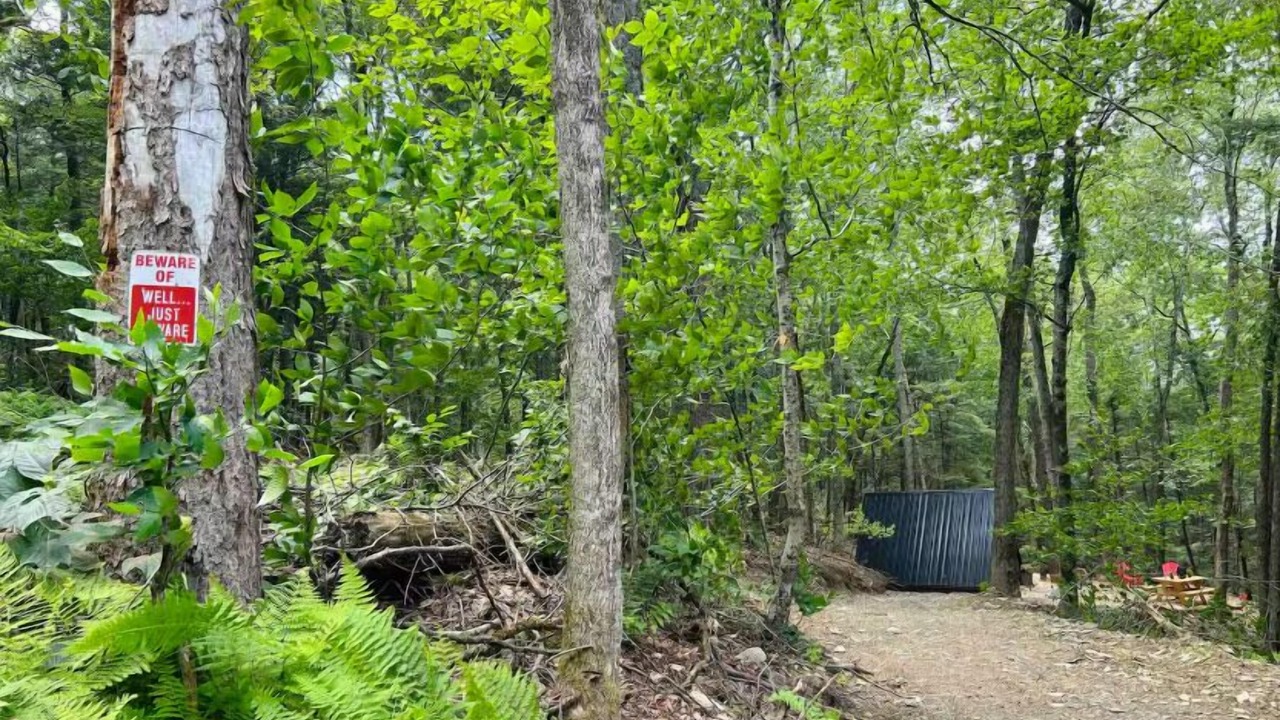 Photo of Others in Sidney