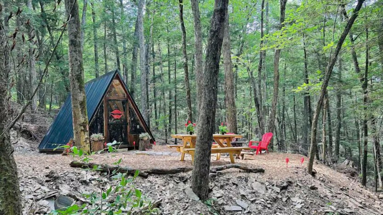 Photo of Others in Sidney