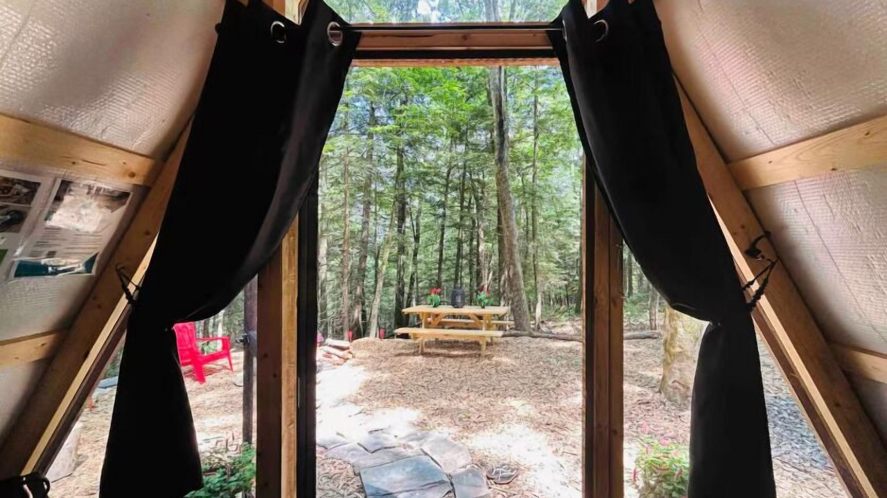 Photo of Others in Sidney