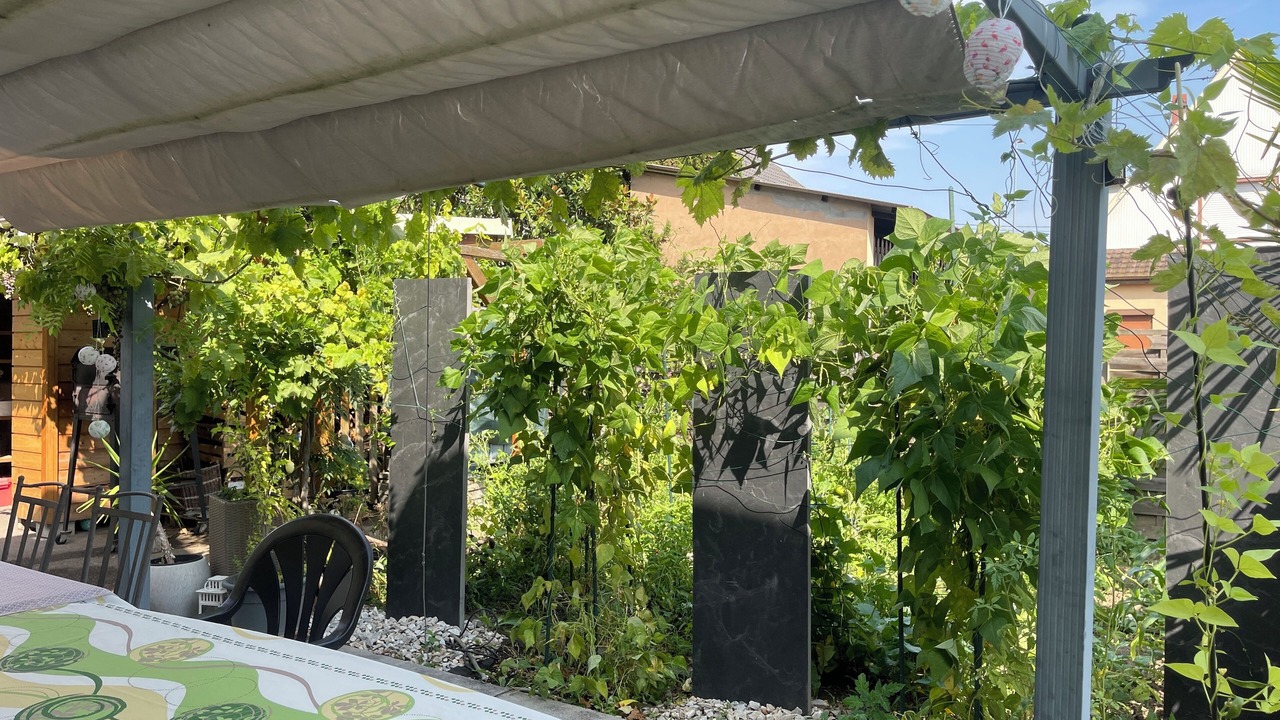 Photo of Outdoor in Haguenau