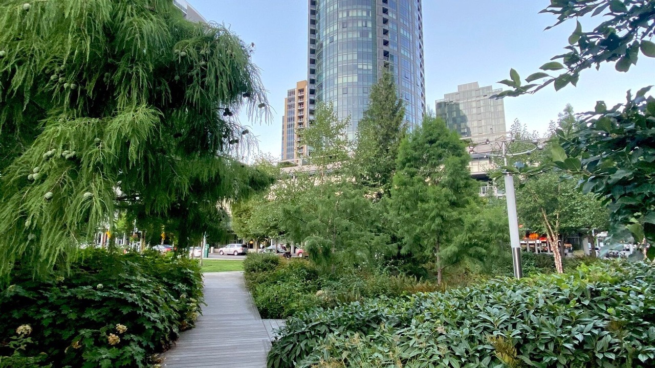 Photo of Outdoor in Corbett - Terwilliger - Lair Hill