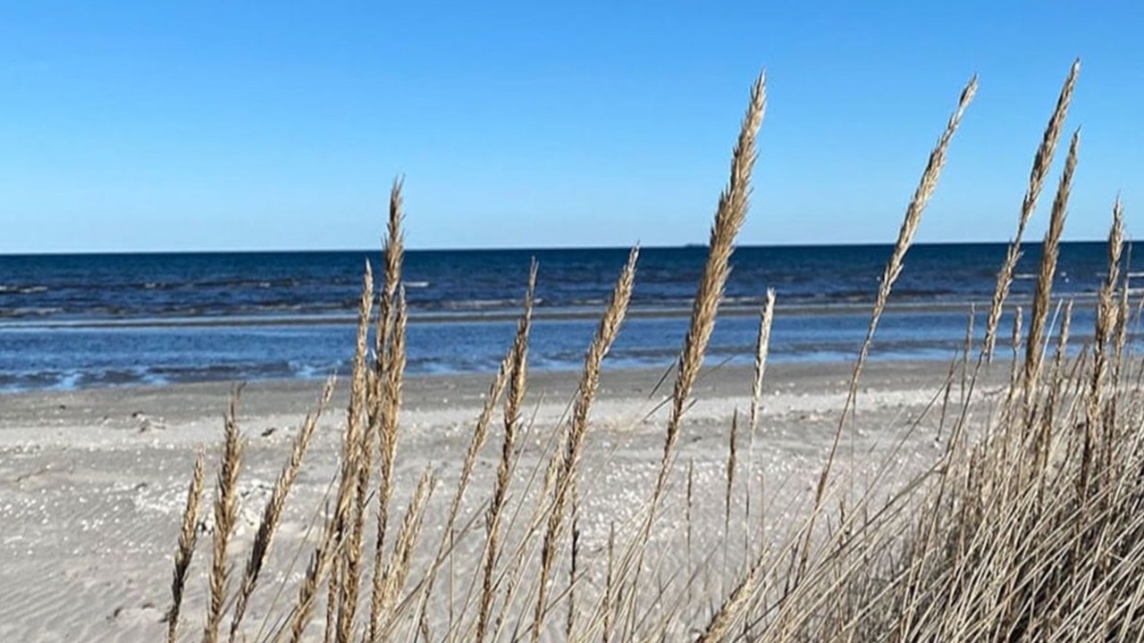 Photo of Outdoor in Lyngsa