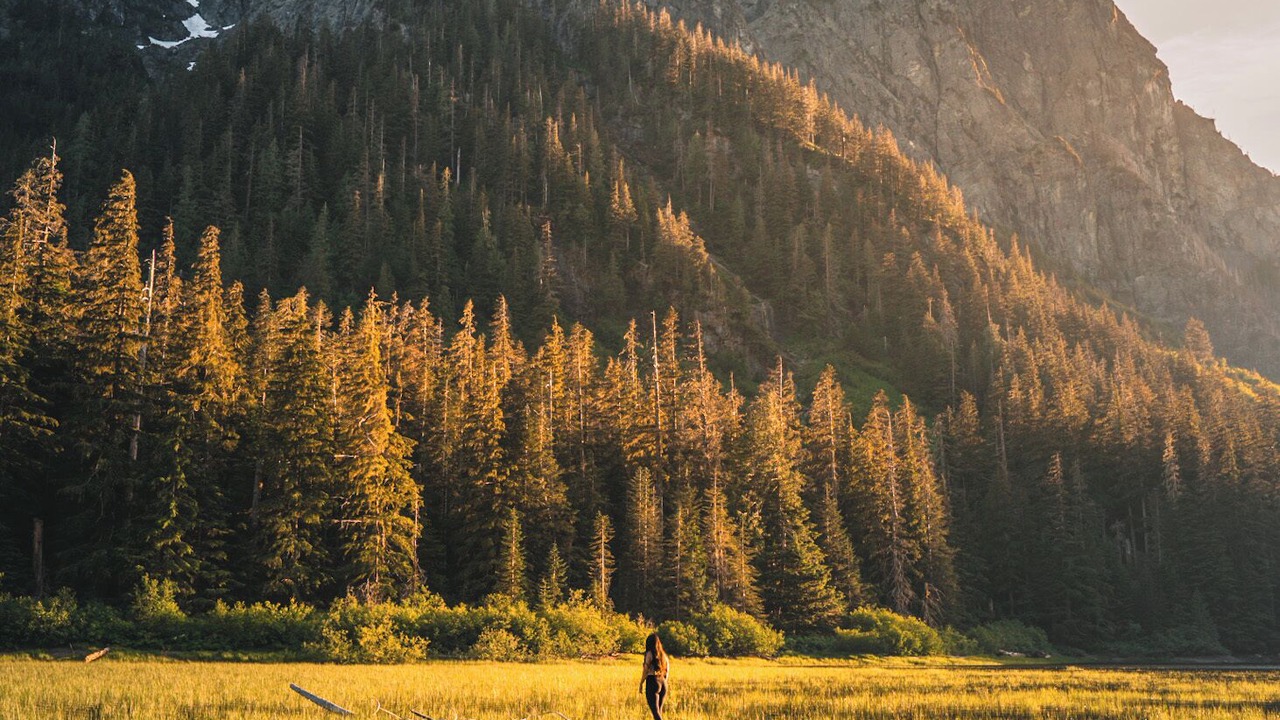 Photo of Others in Skykomish