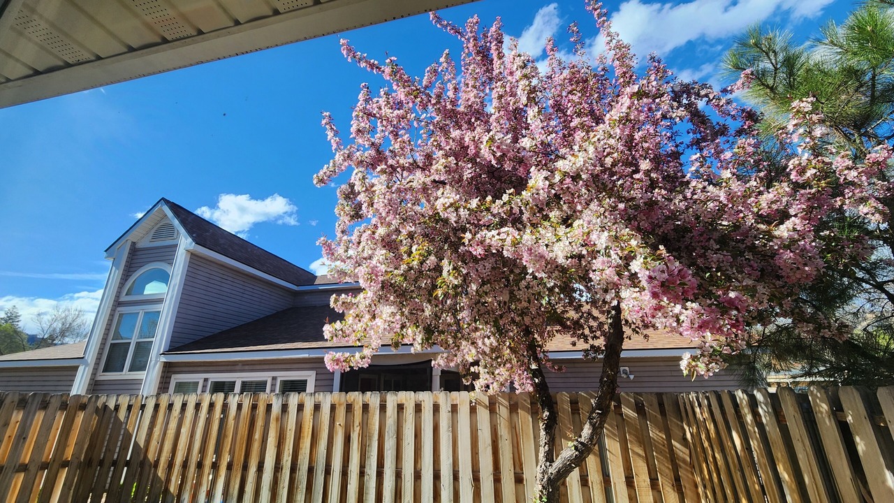 Photo of Outdoor in Durango