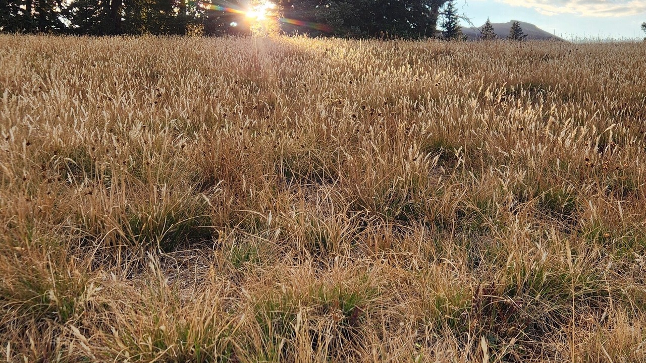 Photo of Outdoor in Durango