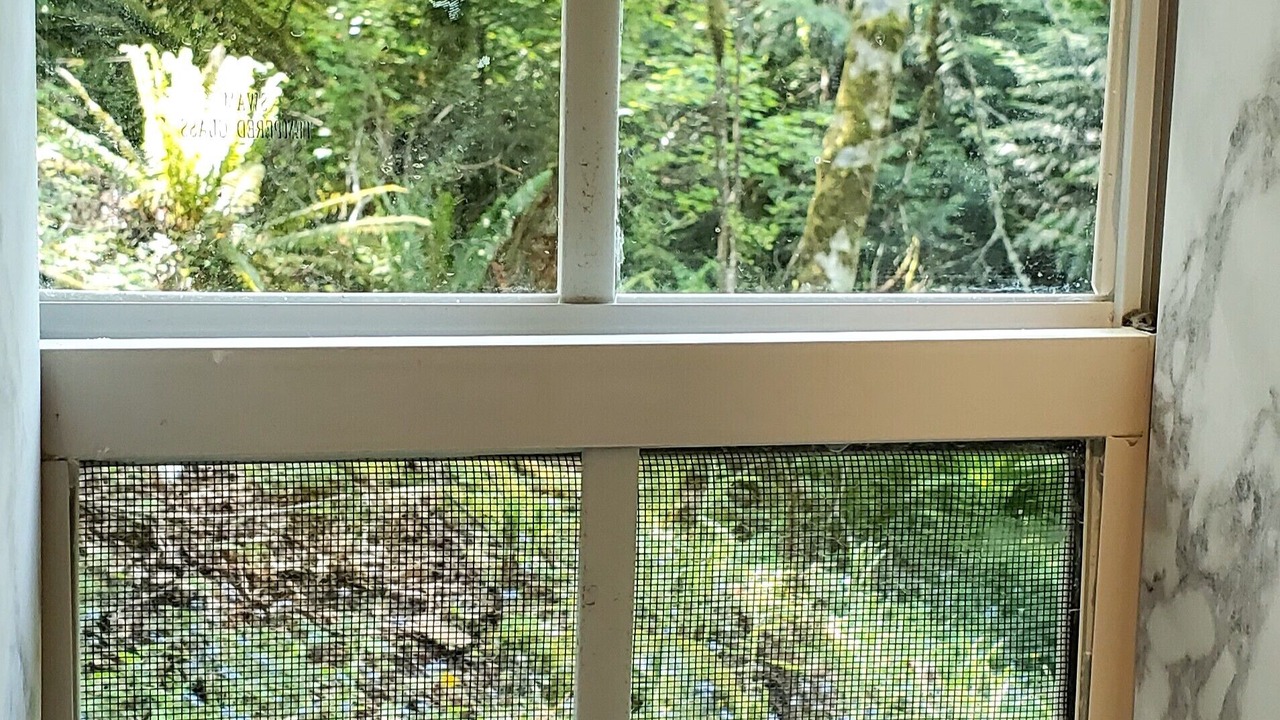 Photo of Others in Sudden Valley