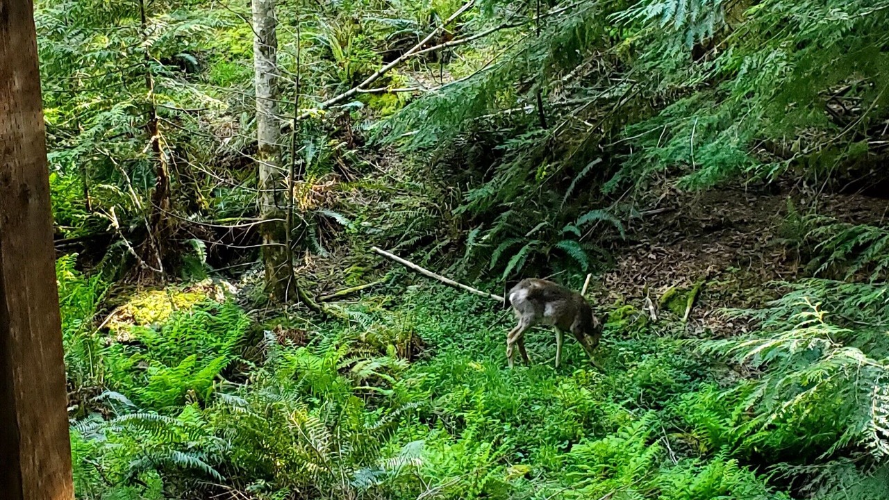 Photo of Others in Sudden Valley
