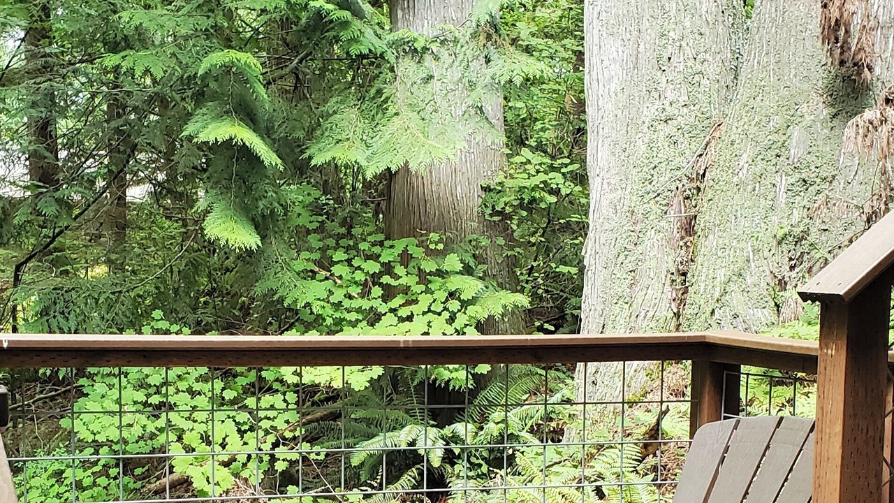 Photo of Others in Sudden Valley