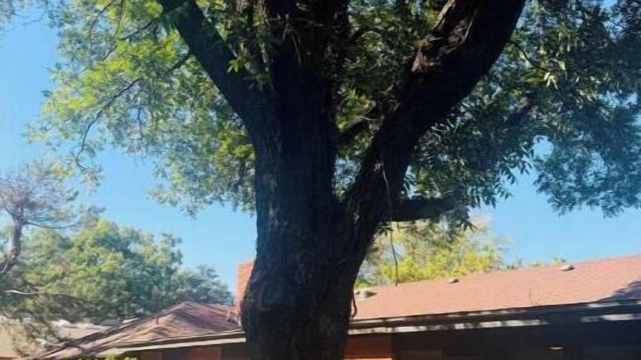 Photo of Outdoor in Raintree