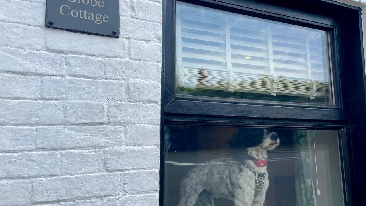 Photo of Others in Glastonbury