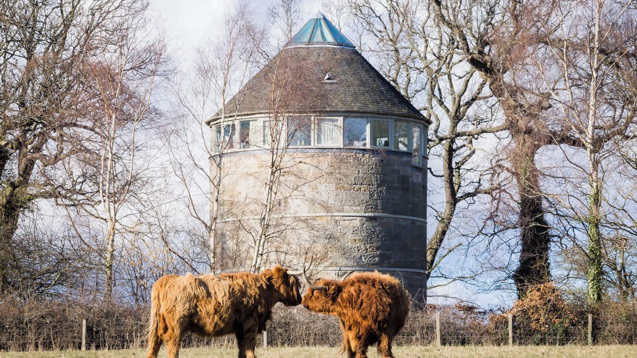 Photo of Others in Dalmeny