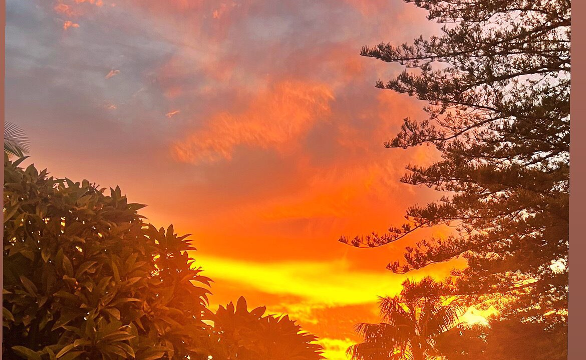 Photo of Others in Freshwater