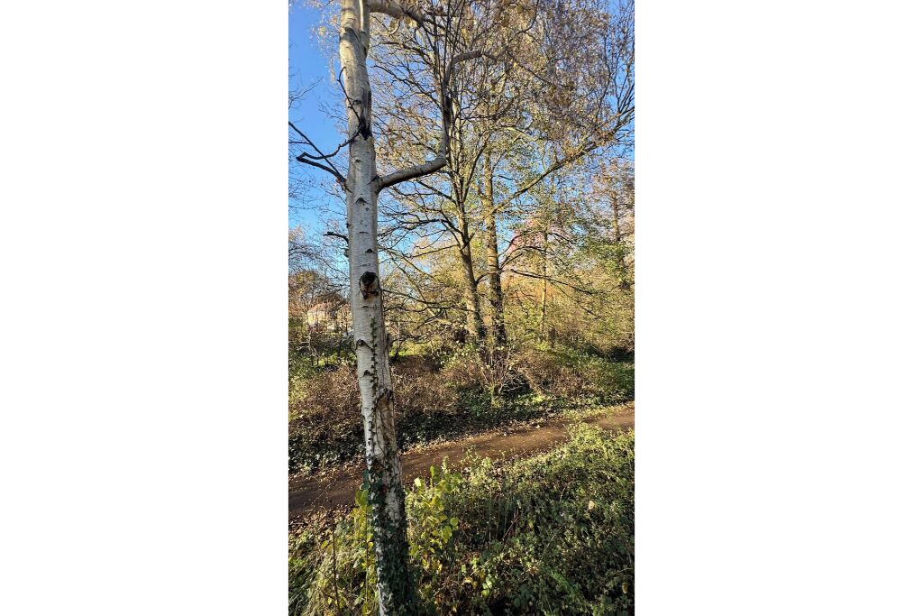 Photo of Others in Abingdon