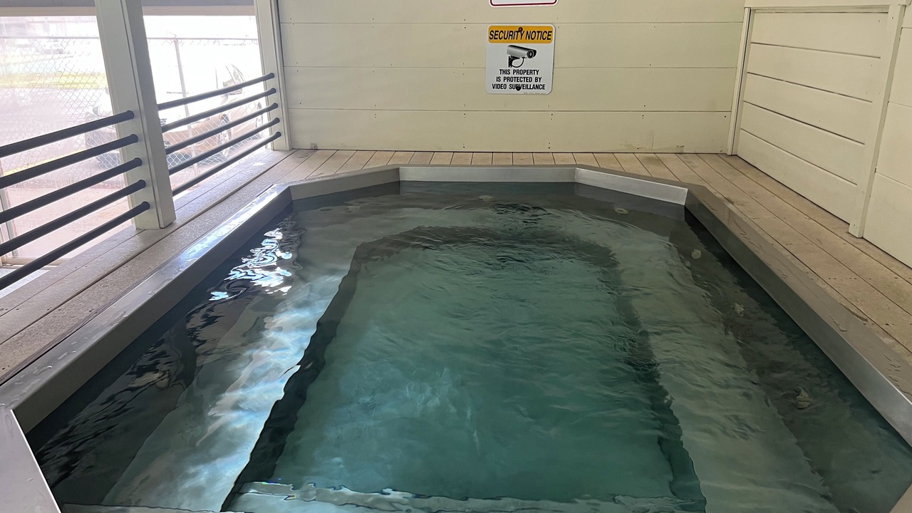 Photo of Others in Dillon