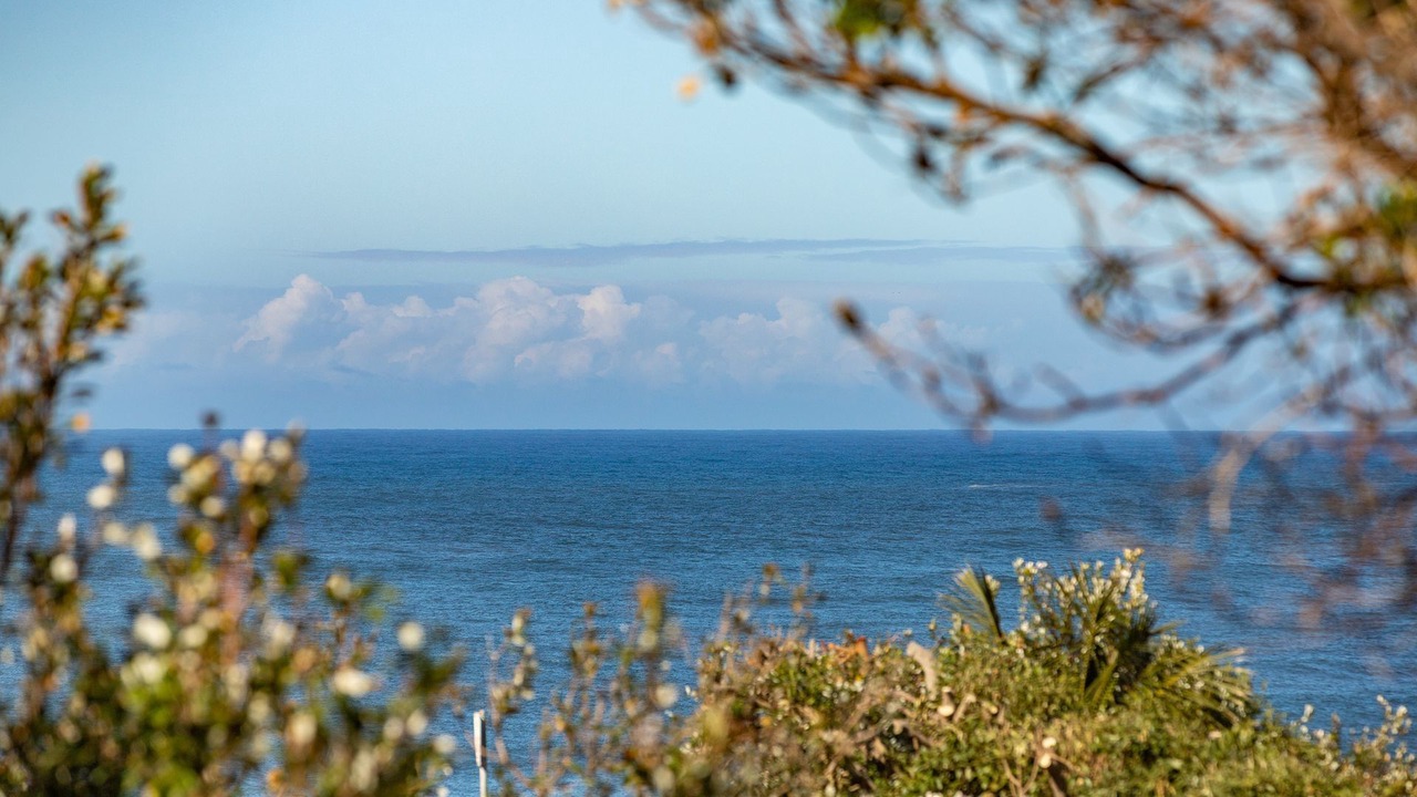 Photo of Others in Blueys Beach