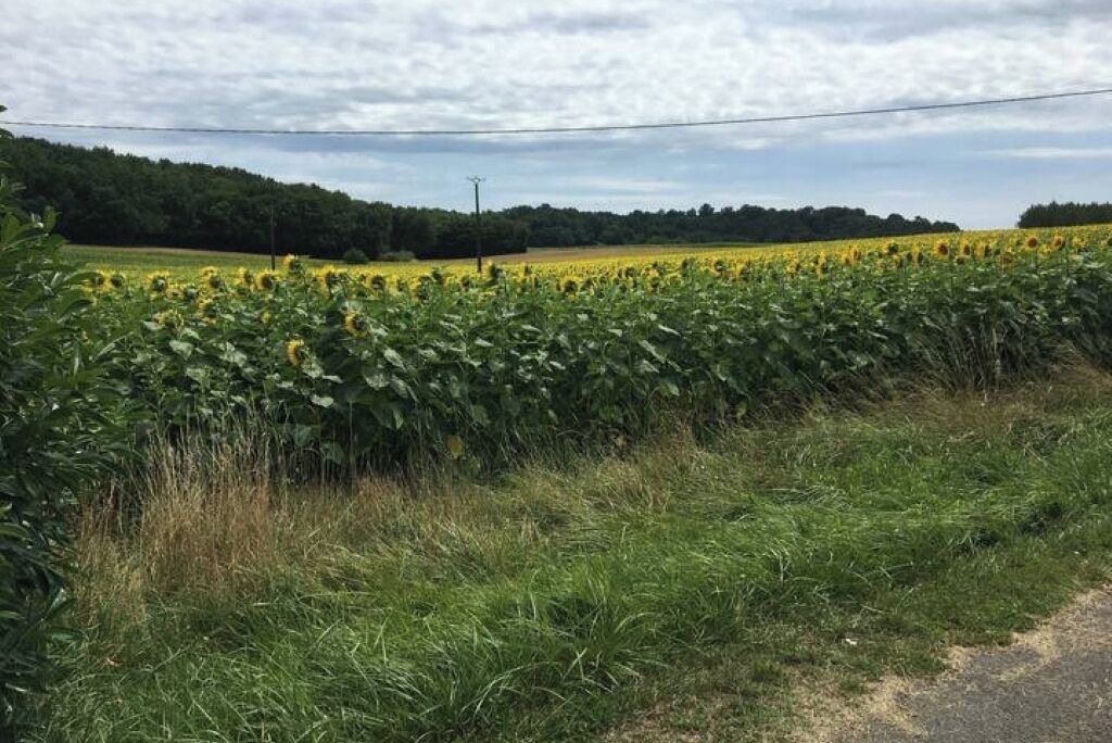 Photo of Others in Champagne-et-Fontaine